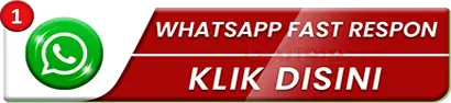 WHATSAPP WULING338